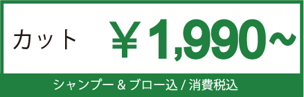 カット1990円?シャンプー&ブロー込/消費税込